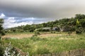 Superb landscape from the natural reserve of the Danube Delta Biosphere - landmark attraction in Romania; dramatic sky before the Royalty Free Stock Photo