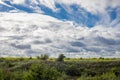 Superb landscape from the natural reserve of the Danube Delta Biosphere - landmark attraction in Romania; dramatic sky before the Royalty Free Stock Photo