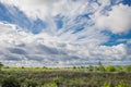 Superb landscape from the natural reserve of the Danube Delta Biosphere - landmark attraction in Romania; dramatic sky before the Royalty Free Stock Photo