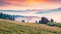 Superb summer scene of Carpathian mountains. Misty sunrise view of Borzhava ridge, Transcarpathian, Ukraine, Europe. Beauty of nat