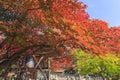 Superb view, fall color at Adashino Nenbutsu-ji, Japan in the au Royalty Free Stock Photo