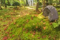 Superb view, fall color at Adashino Nenbutsu-ji, Japan in the au Royalty Free Stock Photo