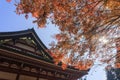 Superb view, fall color at Hieizan Enryakuji, Japan in the autum Royalty Free Stock Photo