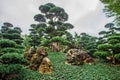 Superb View of the rocks in Nan Lian Park with idyllic topiary podocarpus and pine trees and ophiopogon japonicus