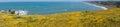 Superbloom at Mori Point, Pacifica, San Francisco bay, California