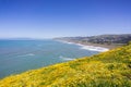 Superbloom at Mori Point, Pacifica, San Francisco bay, California