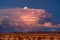 Supercell thunderstorm cumulonimbus cloud at sunset Royalty Free Stock Photo