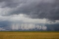 A supercell thunderstorm with a low hanging wall cloud looms on the horizon over a cornfield. Royalty Free Stock Photo