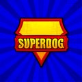Superdog logo template. Frame with divergent rays. Super dog shield. Royalty Free Stock Photo