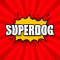 Superdog logo template. Frame with divergent rays. Super dog shield. Royalty Free Stock Photo