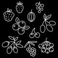 Superfood berries icon set rosehip, strawberry, acai, raspberry, juniperus, cranberry, sea buckthorn, cherry, blueberry