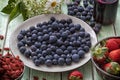 Superfood: blueberries, blueberry juice goji seeds Royalty Free Stock Photo