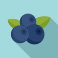 Superfood blueberry icon, flat style