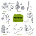 Superfood, hand drawn sketch