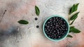 Superfood MAQUI BERRY. Superfoods antioxidant of indian mapuche, Chile. Bowl of fresh maqui berry and maqui berry tree branch, Royalty Free Stock Photo