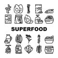 Superfood Natural And Vitamin Icons Set Vector