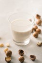 Superfood. Organic macadamia nuts and glass of macadamia milk on stone background