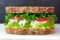 Superfood sandwich on marble against a black background Royalty Free Stock Photo