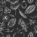 Superfood. Seamless botanical pattern Royalty Free Stock Photo
