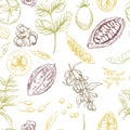 Superfood. Seamless botanical pattern Royalty Free Stock Photo