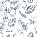 Superfood. Seamless botanical pattern Royalty Free Stock Photo