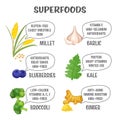 Superfoods collection. Millet, blueberry, broccoli, garlic, kale, ginger. Royalty Free Stock Photo