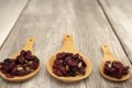 Superfoods, cranberry, raisins, and sunflowers on wooden spoons. Royalty Free Stock Photo