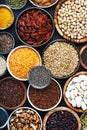 Superfoods, legumes, nuts, seeds and cereals selection in bowls on grey background. Superfood as chia, spirulina, beans, goji