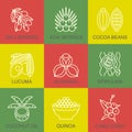 Superfoods line icons set.