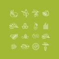 Superfoods line vector icons. Berries,nuts, vegetables fruits and seeds. Organic superfoods for health and diet.