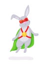 Superhero animal kids with a superhero cape and masks