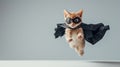 Superhero black kitten with a black cloak and mask jumping and flying on light blue background with copy space. The Royalty Free Stock Photo