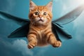 Superhero cat and dog flying with blue cloak and mask, funny animal studio, leadership concept Royalty Free Stock Photo