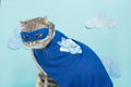 superhero cat, Scottish Whiskas with a blue cloak and mask. The concept of a superhero, super cat, leader