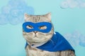 superhero cat, Scottish Whiskas with a blue cloak and mask. The concept of a superhero, super cat, leader