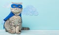 Superhero cat, Scottish Whiskas with a blue cloak and mask. The concept of a superhero, super cat, leader