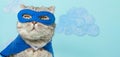 Superhero cat, Scottish Whiskas with a blue cloak and mask. The concept of a superhero, super cat, leader