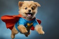 Superhero dog - cute orange tabby kitty flying with blue cloak and mask on light blue background Royalty Free Stock Photo