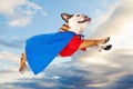 Superhero Dog Flying Through Clouds Royalty Free Stock Photo