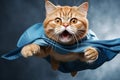 Superhero dog. orange tabby kitty with blue cloak and mask flying on light blue background Royalty Free Stock Photo