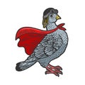 Superhero pigeon bird color sketch vector