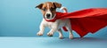 Superhero puppy in action funny dog in costume soaring through empty blue space