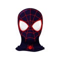 Superhero spider web black mask