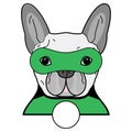 Superhero symbol as a French bulldog character in black, gray, green with a mask