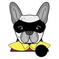 Superhero symbol as a French bulldog character in red, green and yellow covered with a cape and mask covering face