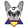 Superhero symbol as a French bulldog character in red, yellow, blue with a cape and yellow diamond symbol