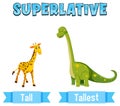 Superlative Adjectives for word tall