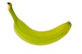 Supermarket banana isolated with clipping path Royalty Free Stock Photo