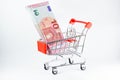 Supermarket Cart Full of Euro banknotes Royalty Free Stock Photo