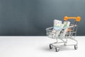 Supermarket cart with packs of dollars. The concept of microcredit and payday loans. Advertising financial services. Trap Royalty Free Stock Photo